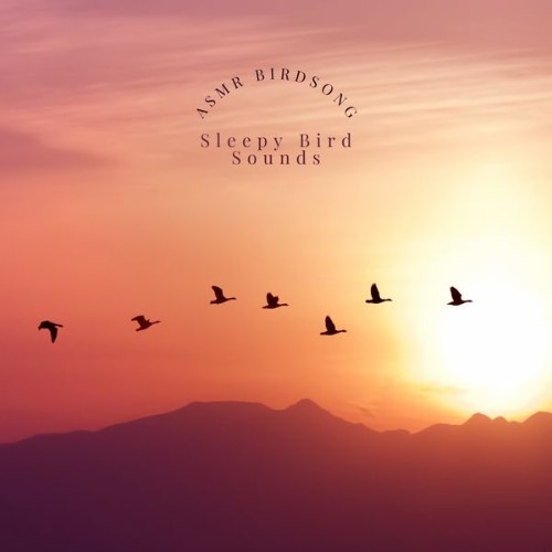 Sleepy Bird Sounds - ASMR Birdsong - 2022