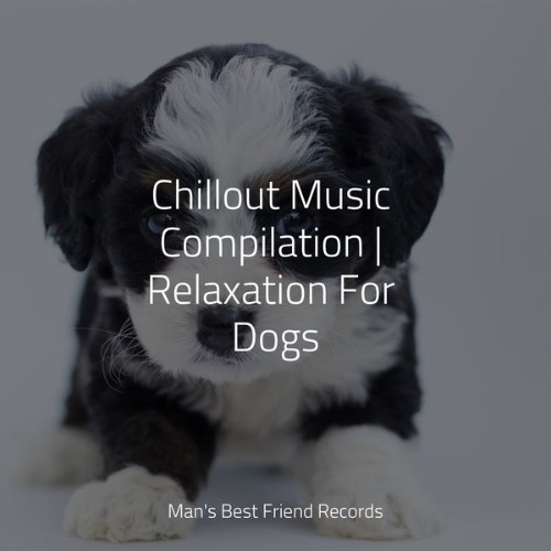 Calming Music for Dogs - Chillout Music Compilation  Relaxation For Dogs - 2022