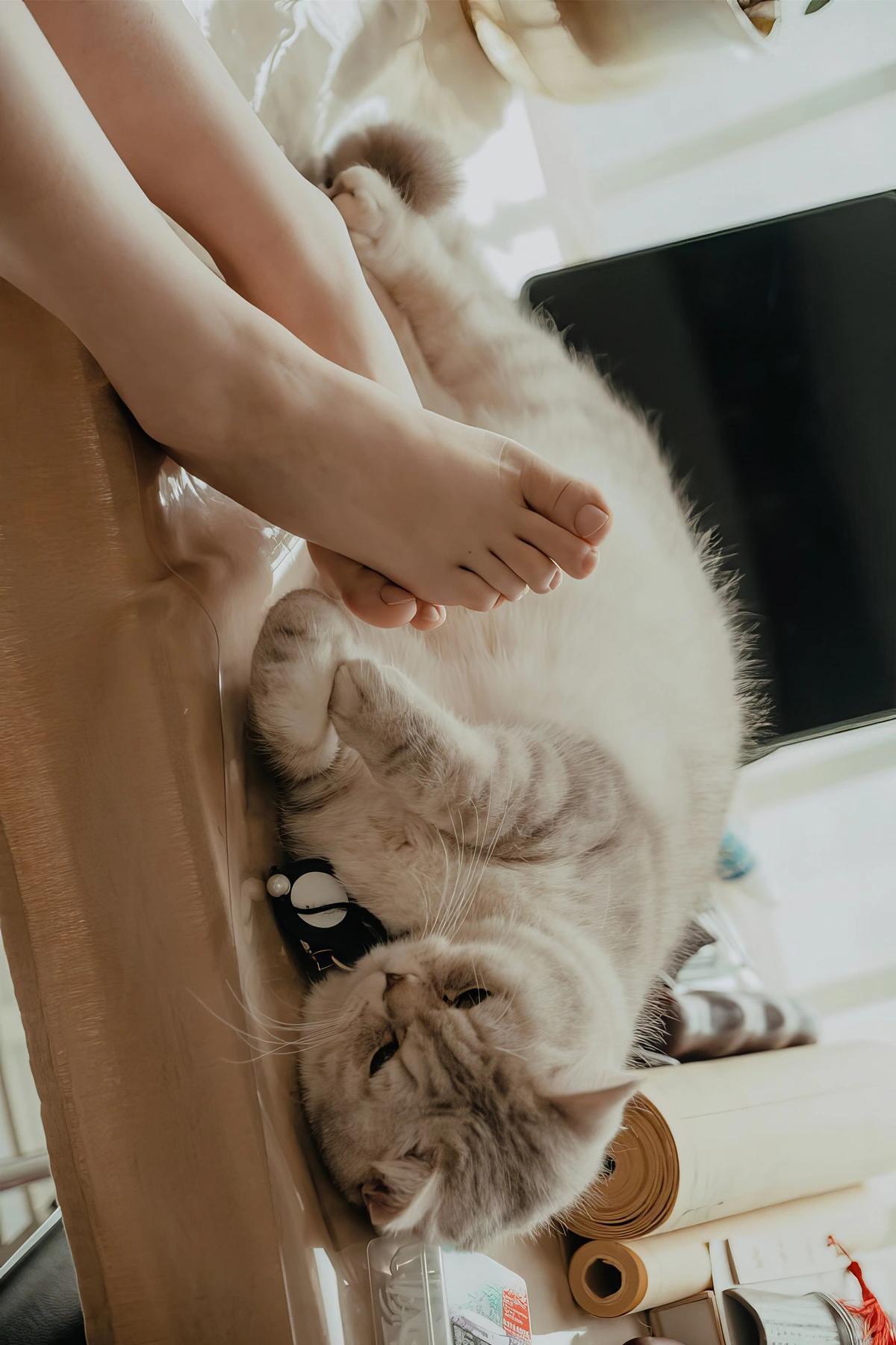 年年Nnian, 写真集 休闲时光(9)
