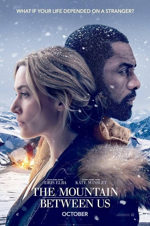 Pomiędzy nami góry / The Mountain Between Us (2017) MULTi.1080p.BluRay.x264.DTS.AC3-DENDA / LEKTOR i NAPISY PL