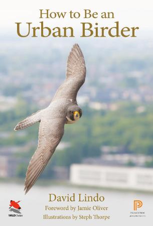 How to be an Urban Birder How to be an Urban Birder