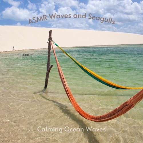 ASMR Waves and Seagulls - Calming Ocean Waves - 2022