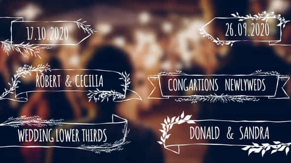 Wedding Lower Thirds - VideoHive 49375829