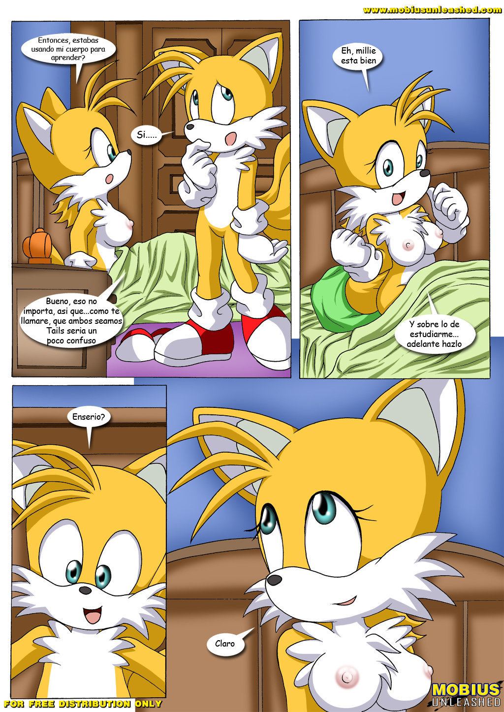 Tails Study - 9