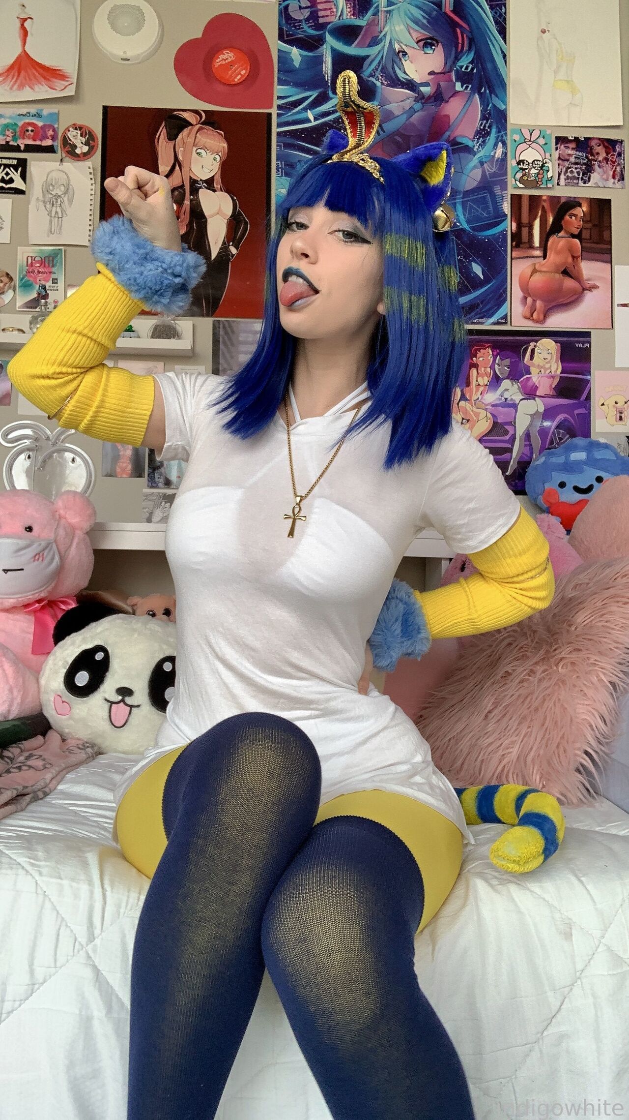 Indigo White - Ankha