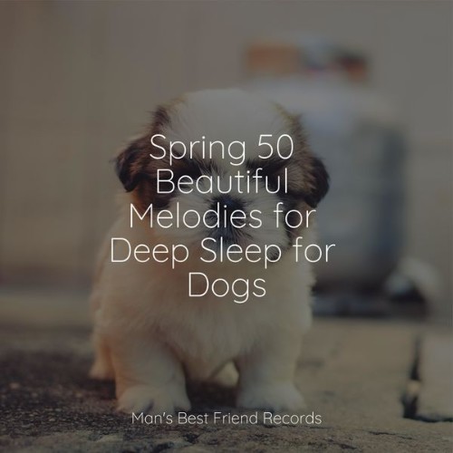 Music for Leaving Dogs Home Alone - Spring 50 Beautiful Melodies for Deep Sleep for Dogs - 2022