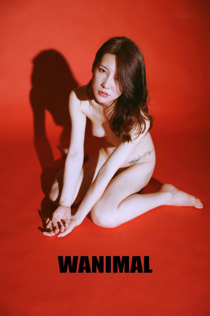 Wang Dong Wanimal officially produced in May VIP without holy light human body set 2 3