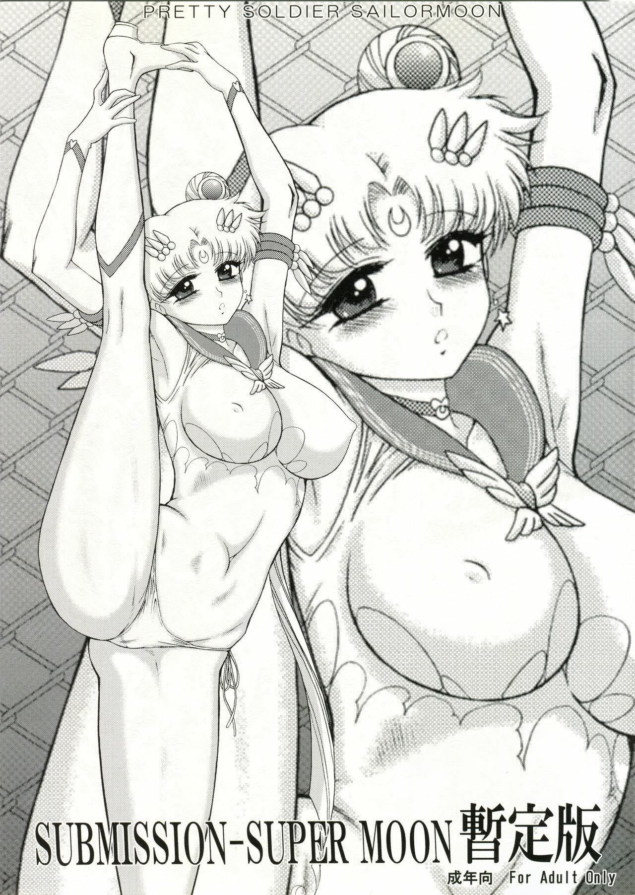 SUBMISSION-SUPER MOON (Bishoujo Senshi Sailor Moon) - 1