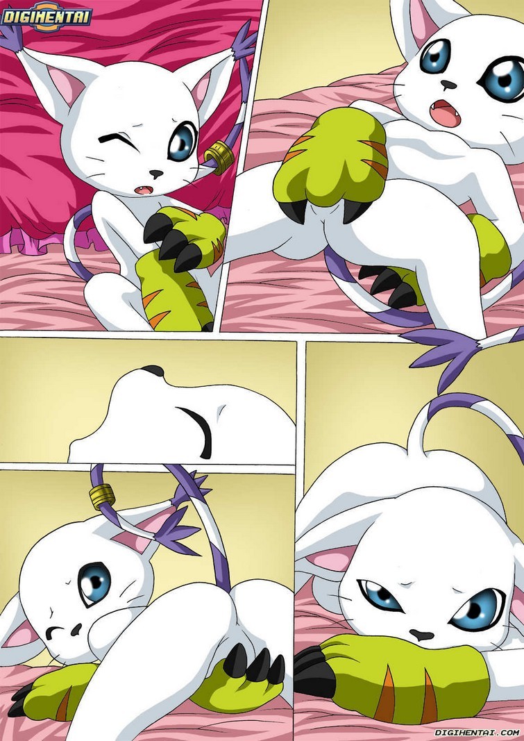 Gatomon en Celo 2 - 3