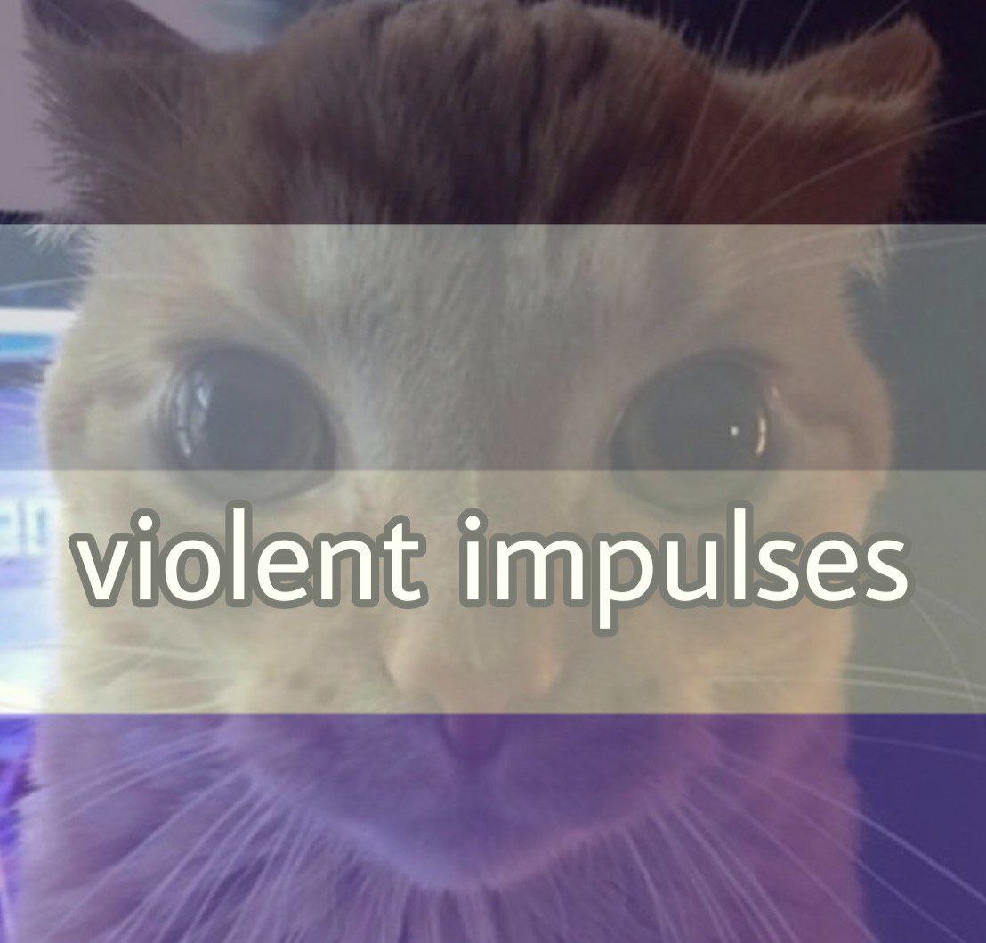 Gatinho laranja assexual violento
