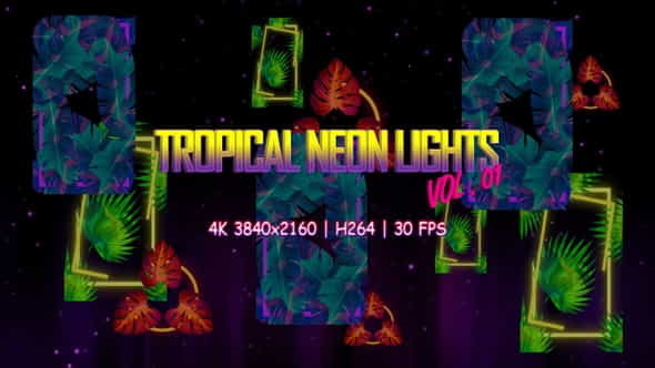 Tropical Neon Lights Vol. 01 - VideoHive 30853913