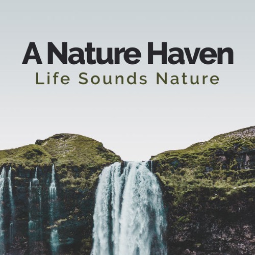 Life Sounds Nature - A Nature Haven - 2019