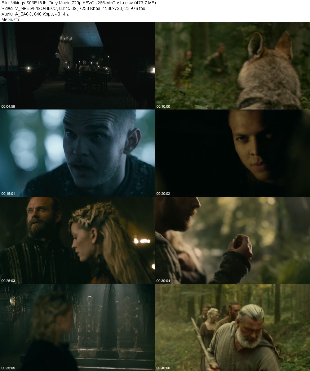 Vikings S06E18 Its Only Magic 720p HEVC x265-MeGusta