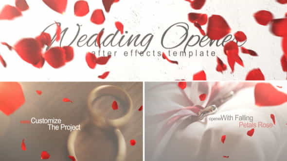 Wedding Opener - VideoHive 10137243