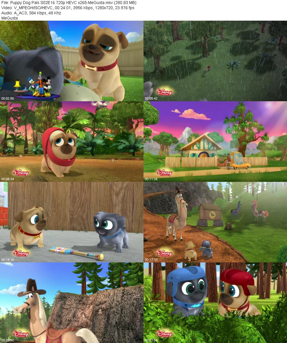 Puppy Dog Pals S02E16 720p HEVC x265