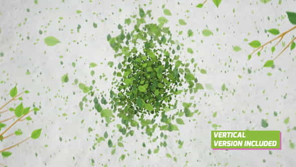 Green Eco Logo Reveal - VideoHive 23890427