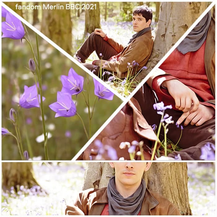 fandom Merlin BBC 2021