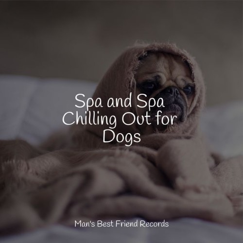 Pet Care Club - Spa and Spa Chilling Out for Dogs - 2022