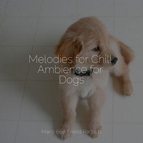 Jazz Music Therapy for Dogs - Melodies for Chill Ambience for Dogs - 2022