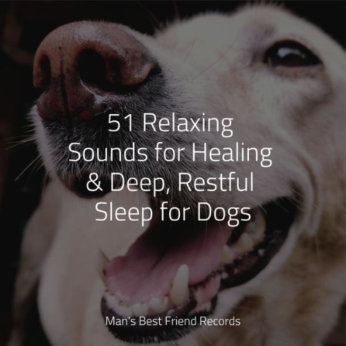 Music for Dog's Ears - 51 Relaxing Sounds for Healing & Deep, Restful Sleep for Dogs - 2022