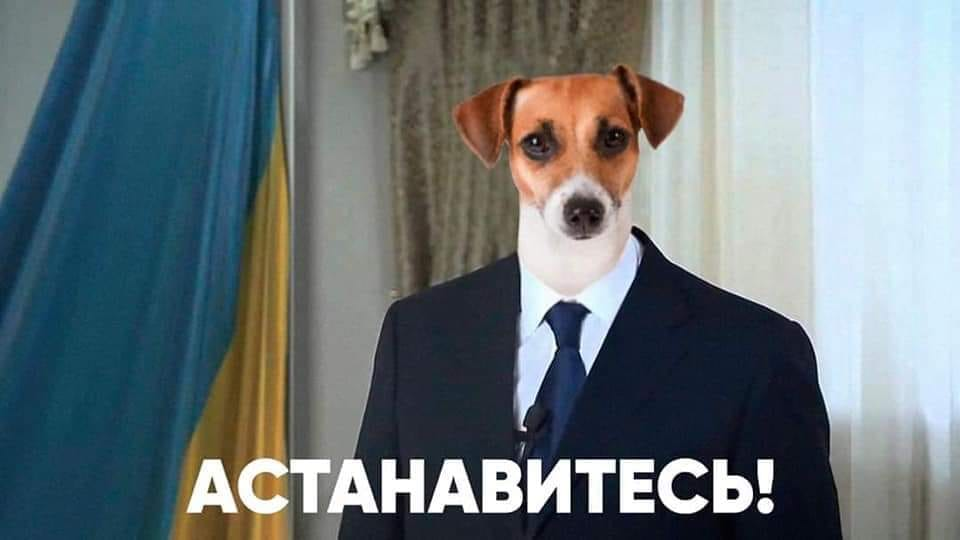 Прощавай, Шарику... Прийшли з облгазу! Мудра порада "Слуги народу" у ФОТОжабах - Цензор.НЕТ 3894