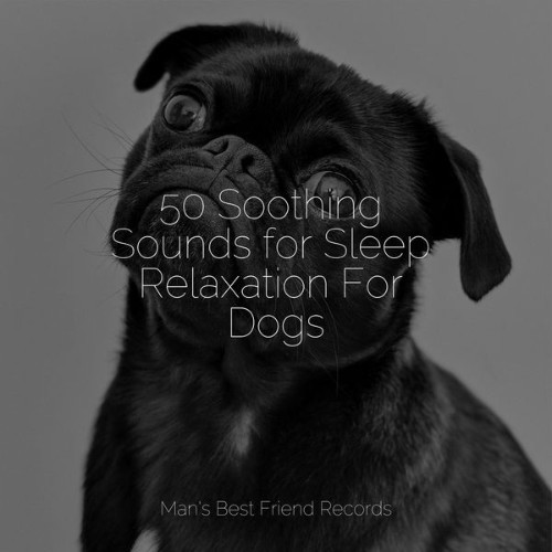 Dog Music - 50 Soothing Sounds for Sleep Relaxation For Dogs - 2022