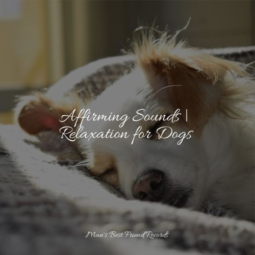 Sleeping Music For Dogs - Affirming Sounds  Relaxation for Dogs - 2022