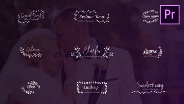 Wedding Titles and Lower Thirds - VideoHive 24659098