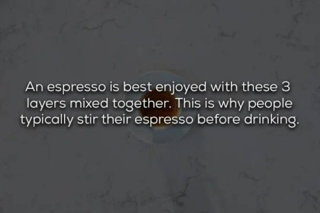 COFFEE FACTS 5wicOKLb_o