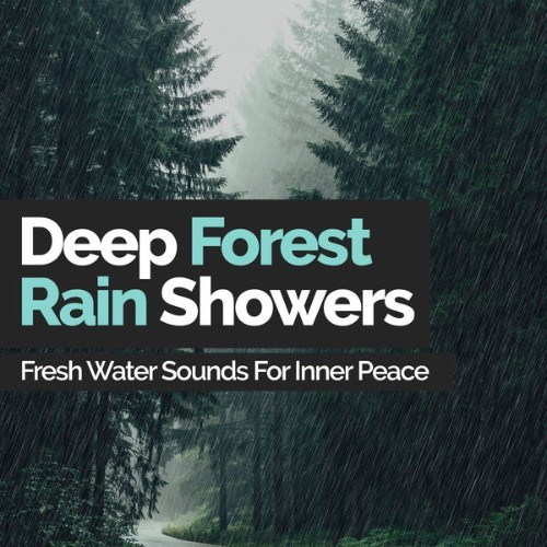 Fresh Water Sounds for Inner Peace - Deep Forest Rain Showers - 2019
