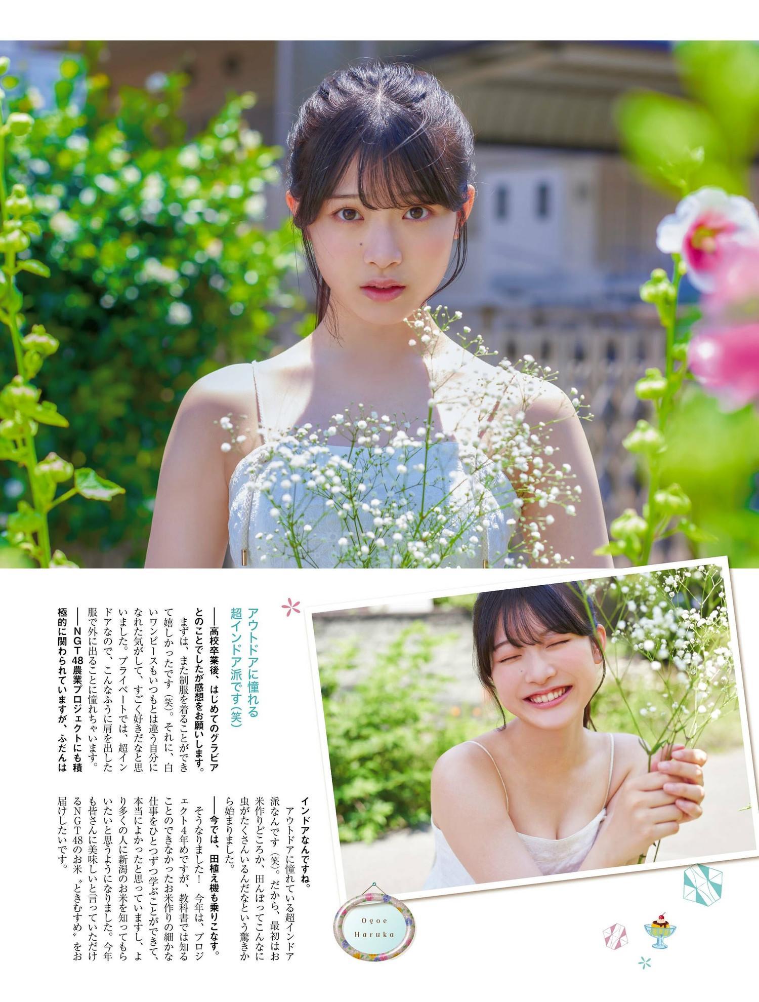 Haruka Ogoe 小越春花, PLATINUM FLASH 2023 VOL.23(4)