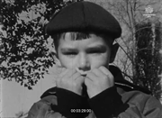https//images2.imgbox.com/66/03/1M5DiIJH_o.png