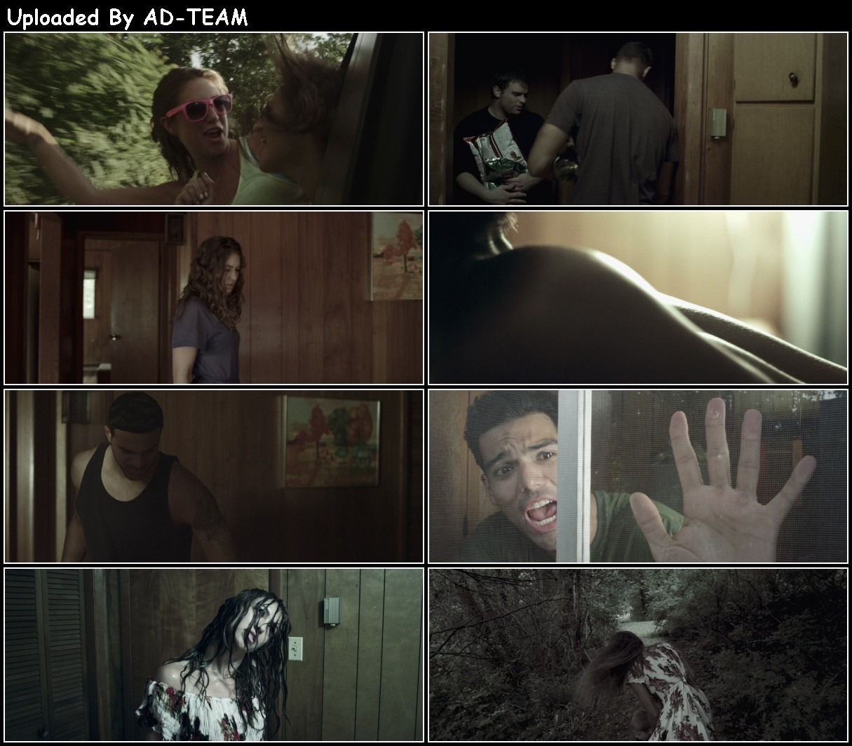 The Lake on ClinTon Road 2015 1080p WEBRip x265-RARBG AEiGF9Ii_o