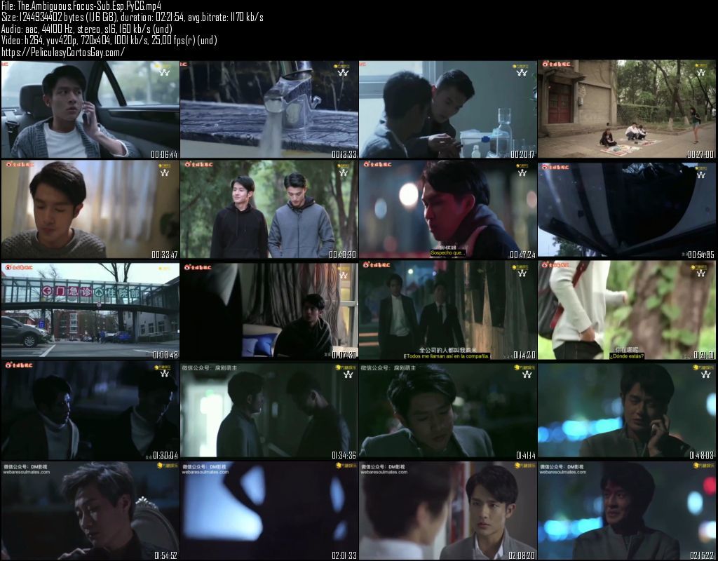 The ambiguous focus - PELÍCULA - China - 2017