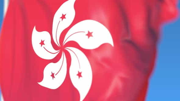 Waving National Flag of Hong - VideoHive 24632513