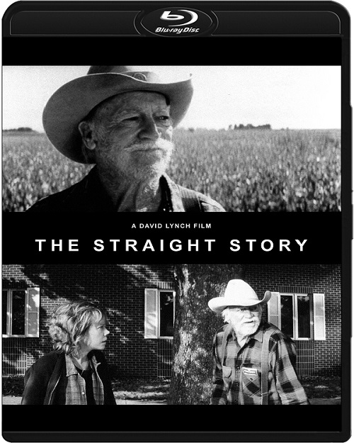 Prosta historia / The Straight Story (1999) MULTi.720p.BluRay.x264.DTS.AC3-DENDA / LEKTOR i NAPISY PL