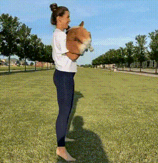ANIMAL GIFS & PIC 1 -  3 pages - Page 3 G9A3Lpqo_o