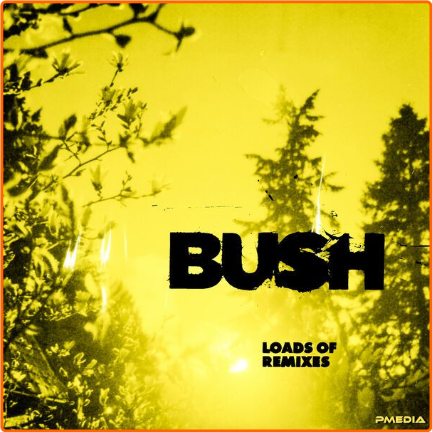 Bush Loads Of Remixes (2024) 16Bit 44 1kHz [FLAC] FWNq7N0k_o