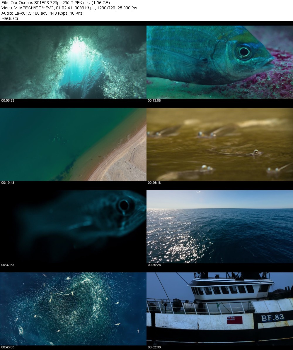 Our Oceans S01E03 720p x265-TiPEX