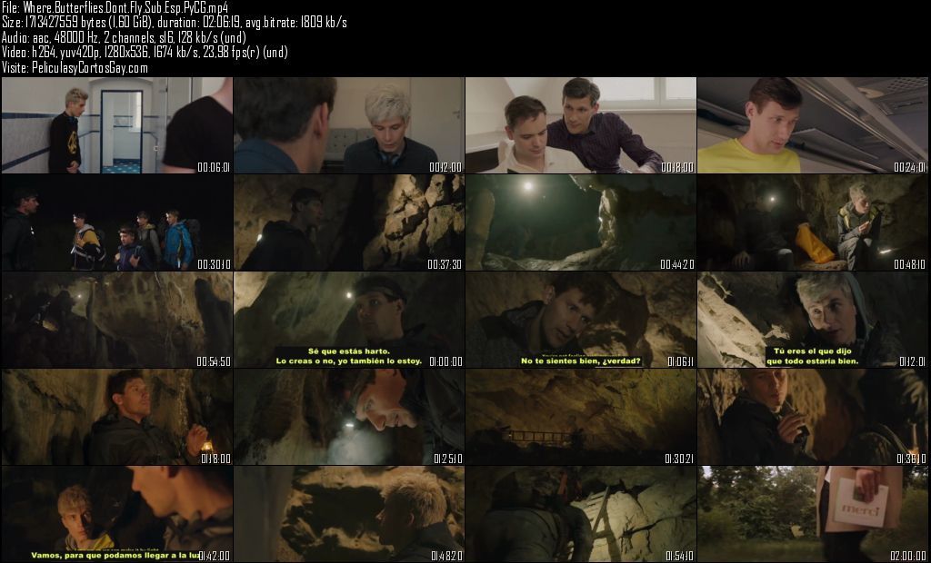 Where Butterflies Don't Fly - PELICULA - República Checa - 2022