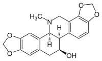 Chelidonina