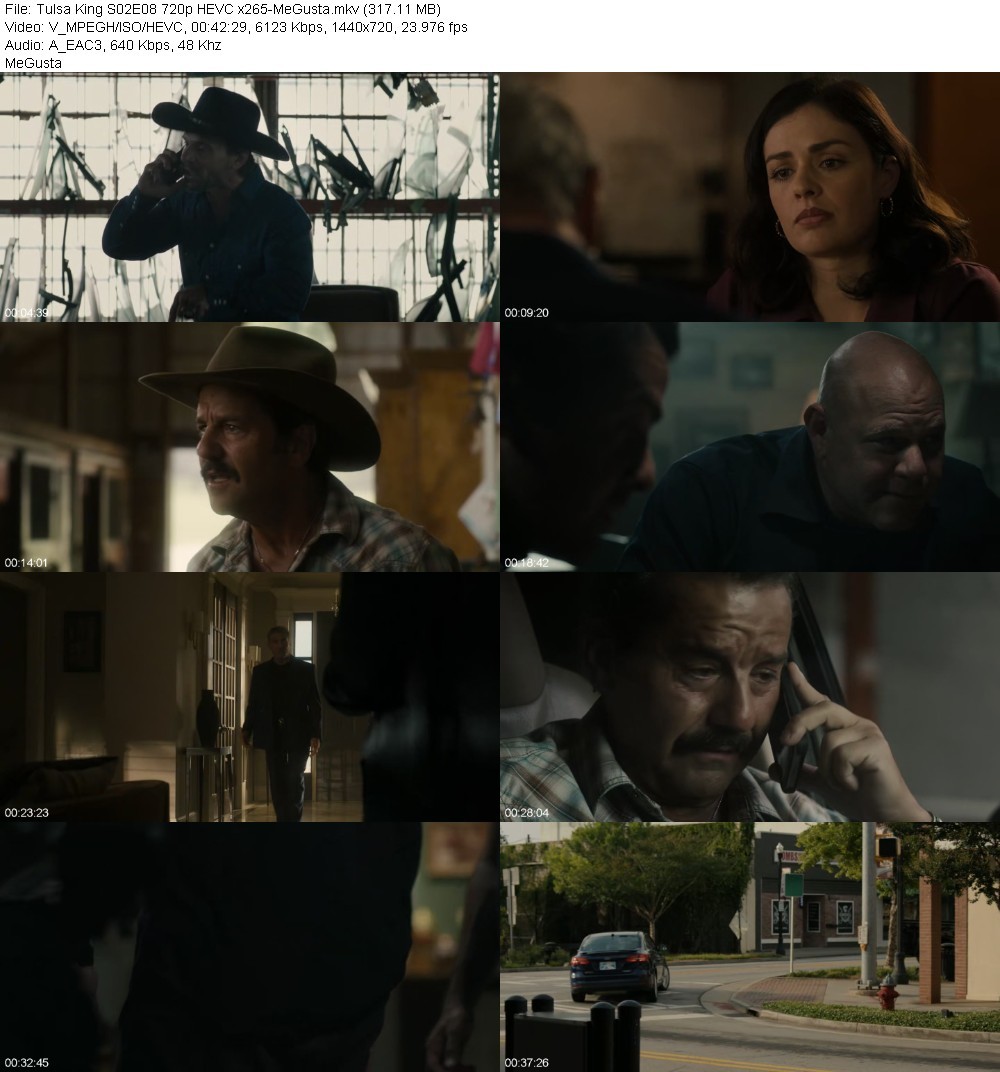 Tulsa King S02E08 720p HEVC x265-MeGusta