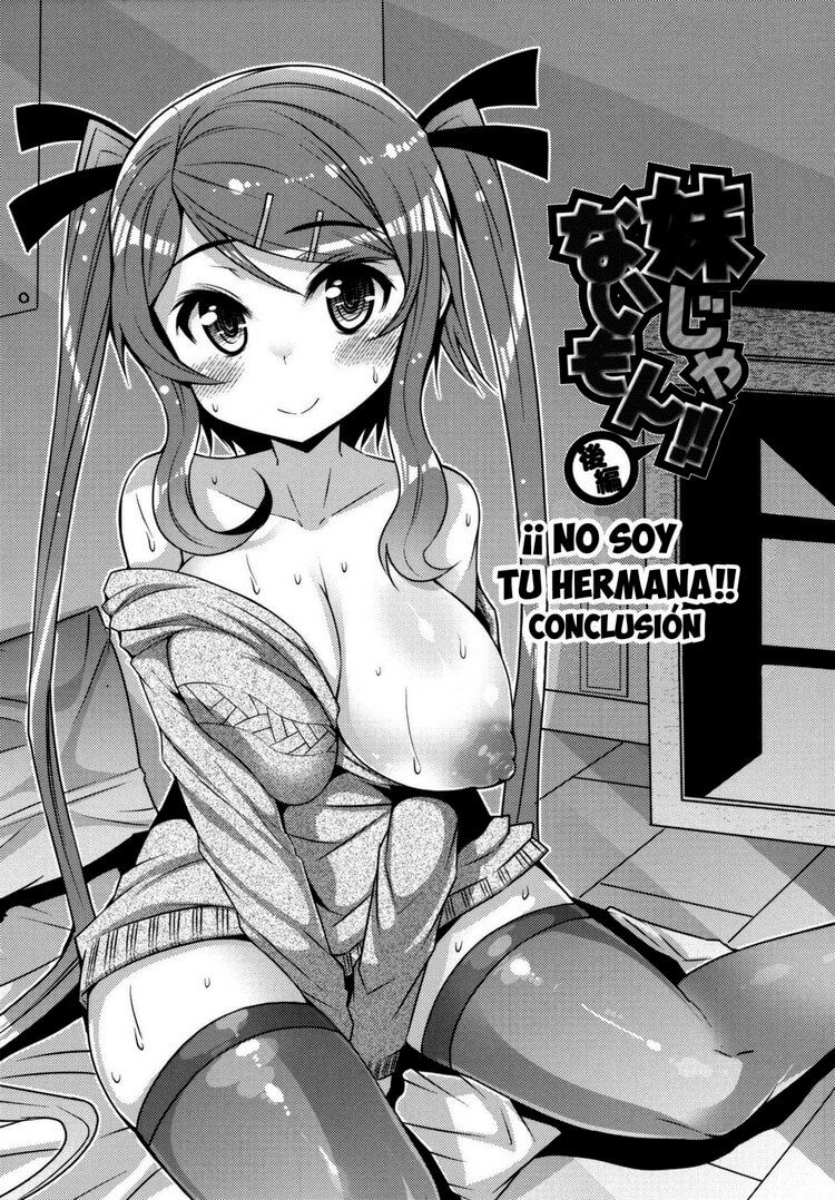 Sister Removal Declaration Hentai - 35