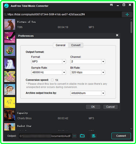 AudFree Tidal Music Converter 2.14.0.162 Multilingual P9SXA217_o