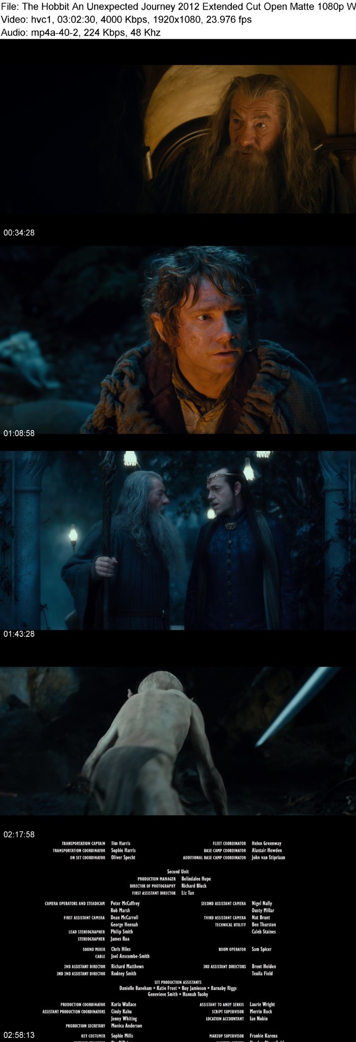 The Hobbit An Unexpected Journey (2012) Extended Cut Open Matte 1080p WEBRip x265 10bit-KONTRAST KiNiJgzg_o