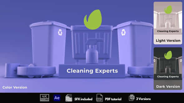 Cleaning Experts - VideoHive 50393603