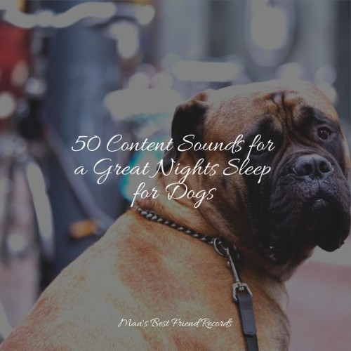 Relaxation Music For Dogs - 50 Content Sounds for a Great Nights Sleep for Dogs - 2022