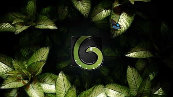 The Nature Mystery - VideoHive 34366232
