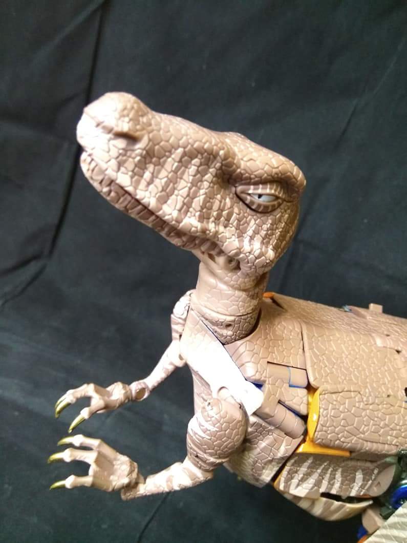 [Masterpiece] MP-41 Dinobot (Beast Wars) - Page 2 FUyOQrfZ_o