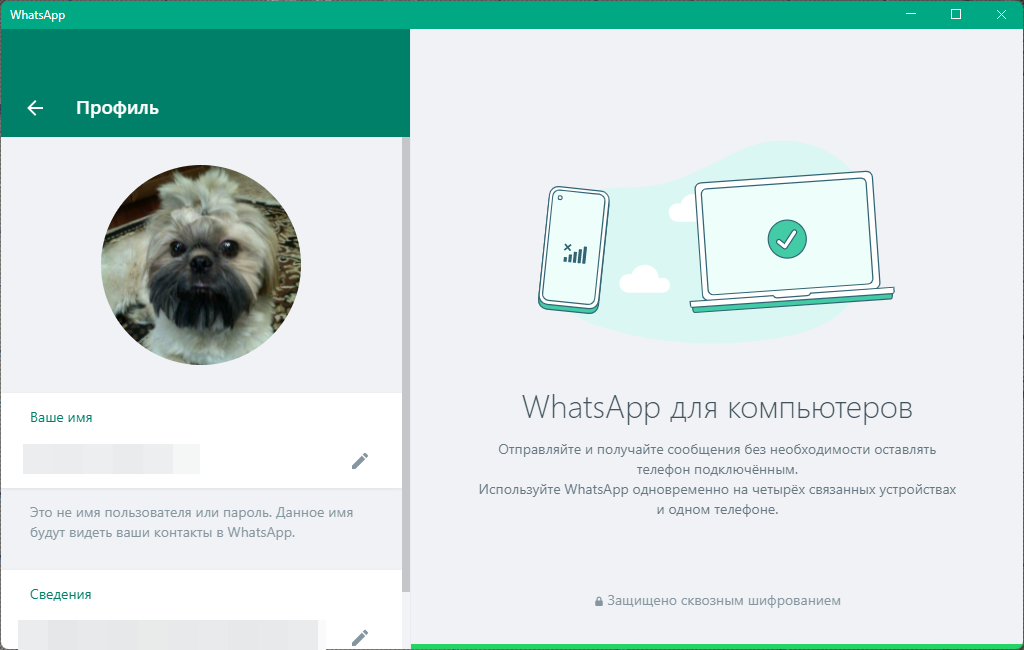 WhatsApp 2.2232.8 RePack (& Portable) by elchupacabra [Multi/Ru]
